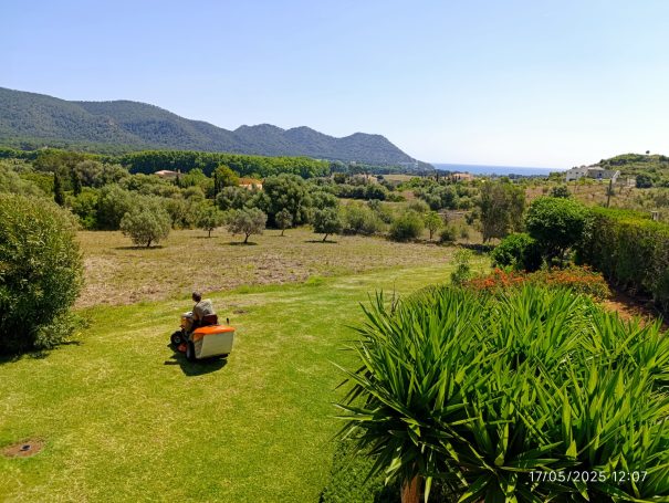 Grandes superficies con nuestro tractor STIHL Grandes superficies con nuestro tractor STIHL