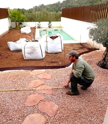 Transformando tu jardín Transformando tu jardín